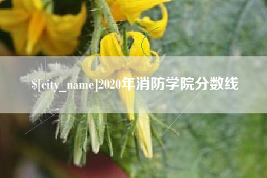 武汉2020年消防学院分数线