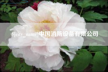 武汉中国消防设备有限公司
