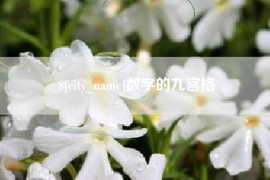 武汉数字的九宫格