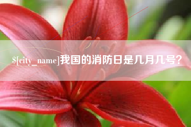武汉我国的消防日是几月几号？