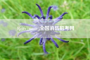 武汉全国消防招考网