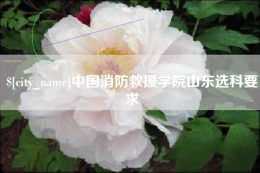武汉中国消防救援学院山东选科要求