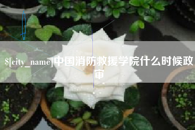 武汉中国消防救援学院什么时候政审