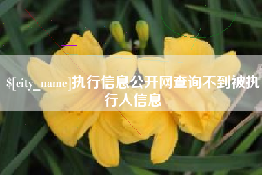 武汉执行信息公开网查询不到被执行人信息
