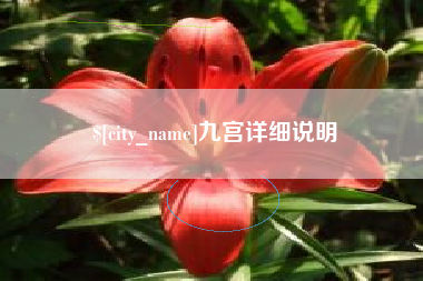 武汉九宫详细说明