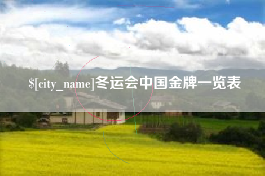 武汉冬运会中国金牌一览表