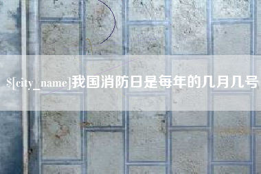 武汉我国消防日是每年的几月几号