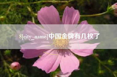 武汉中国金牌有几枚了