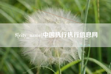 武汉中国执行执行信息网