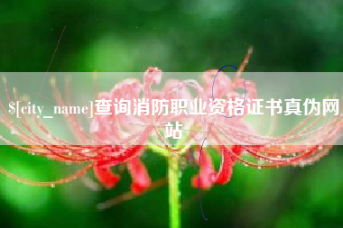 武汉查询消防职业资格证书真伪网站