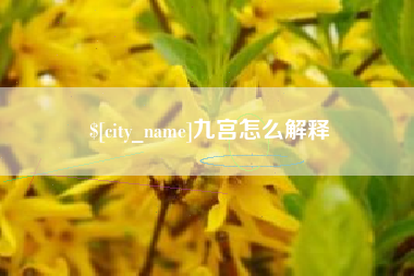 武汉九宫怎么解释