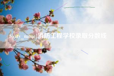 武汉消防工程学校录取分数线