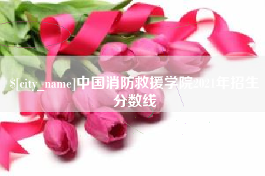 武汉中国消防救援学院2021年招生分数线