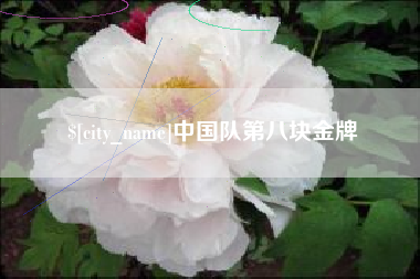 武汉中国队第八块金牌