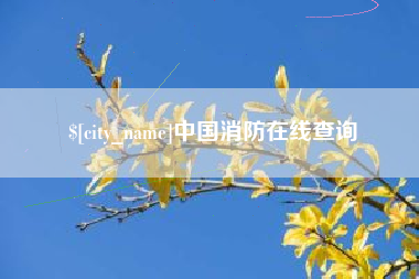 武汉中国消防在线查询