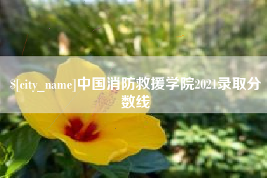 武汉中国消防救援学院2021录取分数线