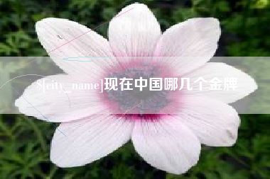 武汉现在中国哪几个金牌