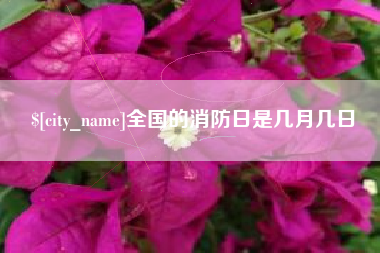 武汉全国的消防日是几月几日