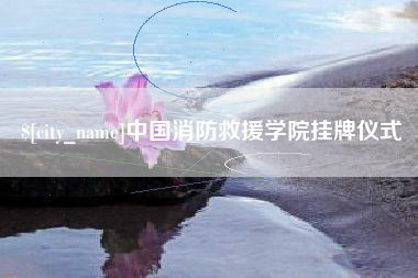 武汉中国消防救援学院挂牌仪式
