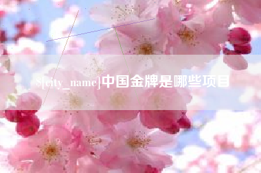 武汉中国金牌是哪些项目