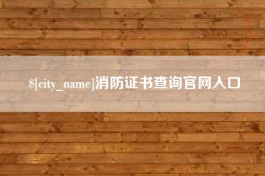 武汉消防证书查询官网入口