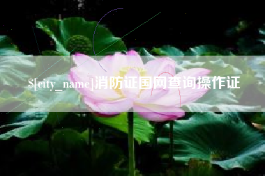 武汉消防证国网查询操作证