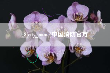 武汉中国消防官方