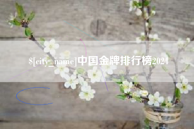 武汉中国金牌排行榜2024