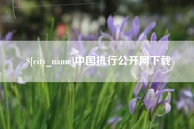 武汉中国执行公开网下载