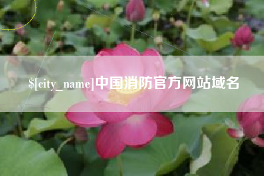 武汉中国消防官方网站域名