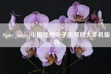 武汉中国地图电子版可放大手机版吗