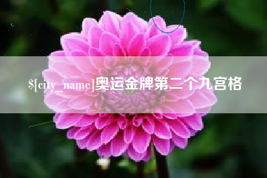 武汉奥运金牌第二个九宫格