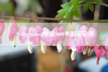武汉中国5000米国家记录