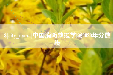 武汉中国消防救援学院2020年分数线
