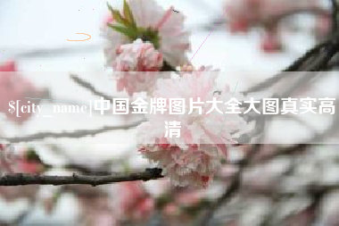 武汉中国金牌图片大全大图真实高清