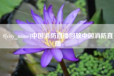 武汉中国消防直播回放中国消防直播