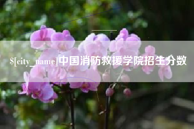 武汉中国消防救援学院招生分数