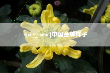 武汉中国金牌样子