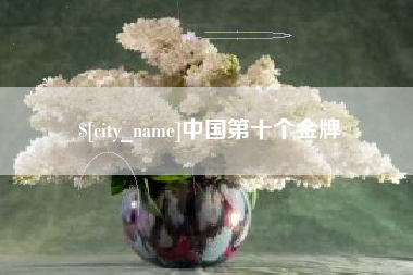 武汉中国第十个金牌