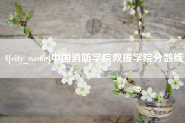 武汉中国消防学院救援学院分数线
