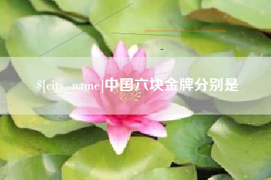 武汉中国六块金牌分别是
