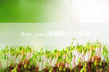 武汉中国的几个金牌