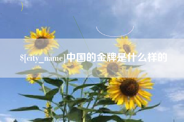 武汉中国的金牌是什么样的