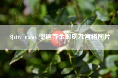 武汉奥运夺金时刻九宫格图片