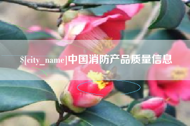 武汉中国消防产品质量信息