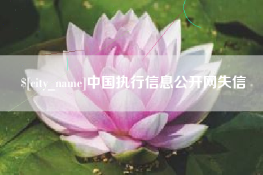 武汉中国执行信息公开网失信