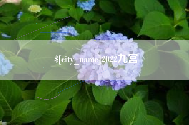 武汉2022九宫