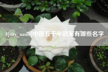 武汉中国五千米冠军有哪些名字