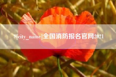 武汉全国消防报名官网2021