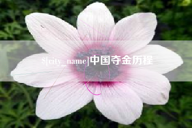 武汉中国夺金历程